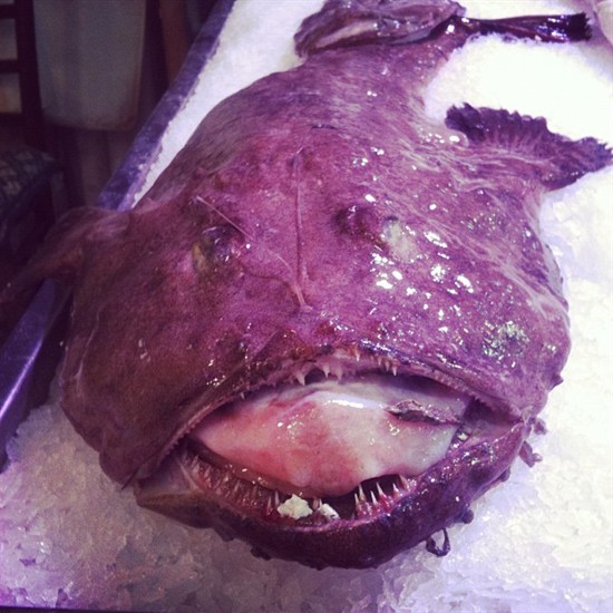 Uglyfish